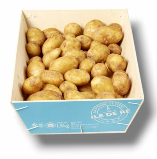 POMME DE TERRE PRIMEUR DE L'ILE DE RÉ AOP 1.5 KG