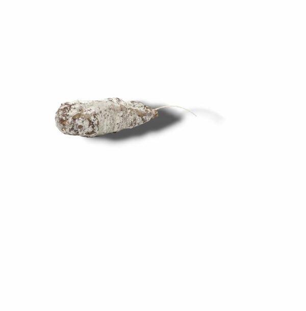 SAUCISSON SEC 300 GR