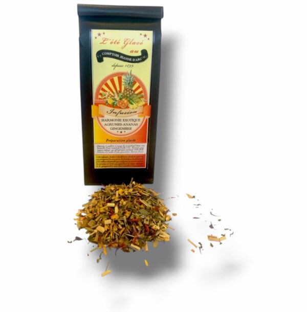 L'ÉTÉ GLACÉ INFUSION HARMONIE EXOTIQUE ARGUME ANANAS GINGEMBRE