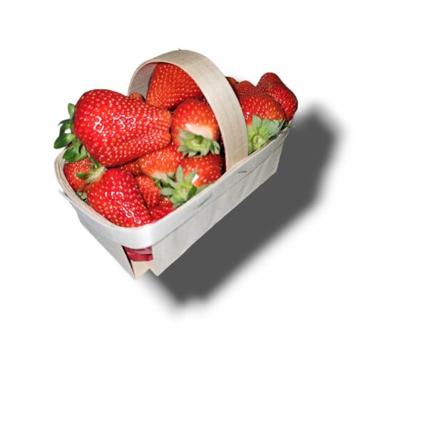 FRAISE RONDE PANIER 650 GR