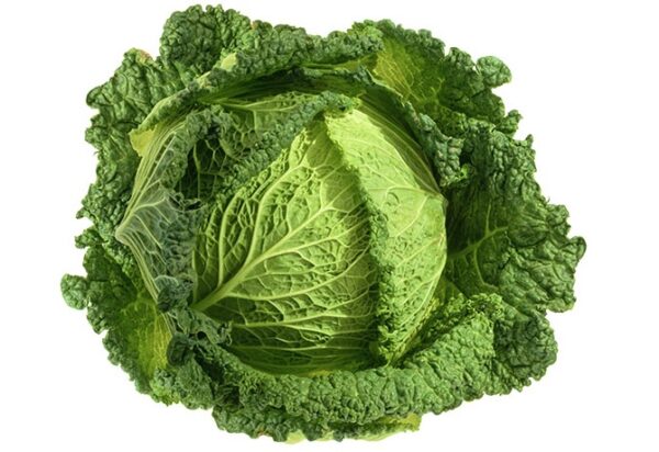 CHOU VERT