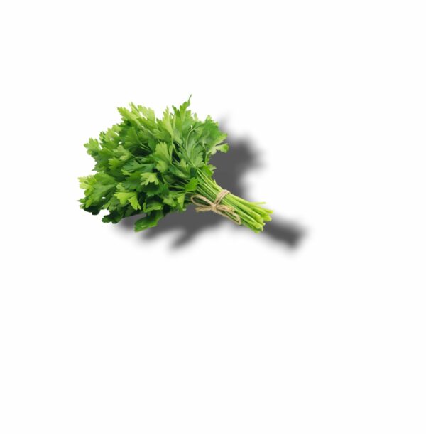 PERSIL PLAT BOTTE
