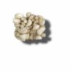 AIL APERITIF AUX HERBES DE PROVENCE