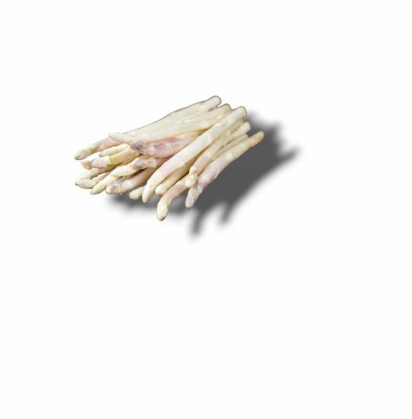ASPERGE BLANCHE PETIT CALIBRE