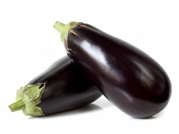 AUBERGINE DU LOIRET