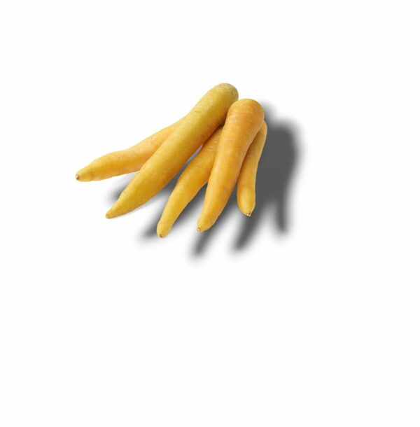 CAROTTE JAUNE