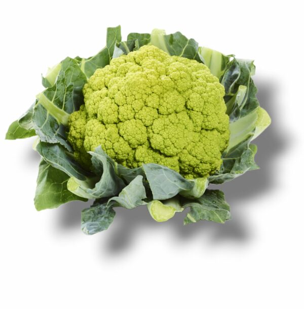 CHOU FLEUR VERT