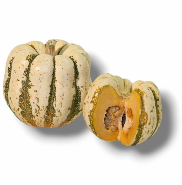 COURGE PATIDOU
