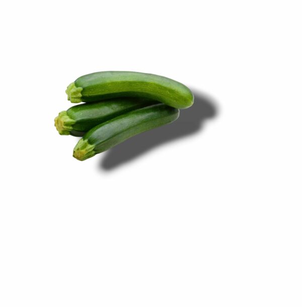 COURGETTE LONGUE