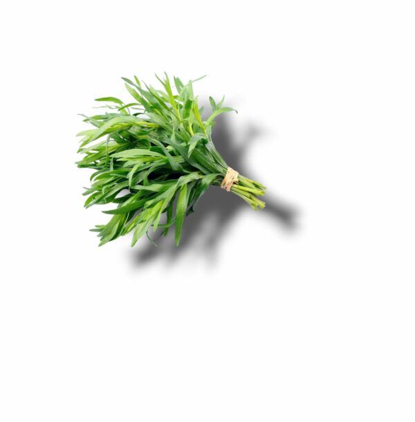ESTRAGON BOTTE