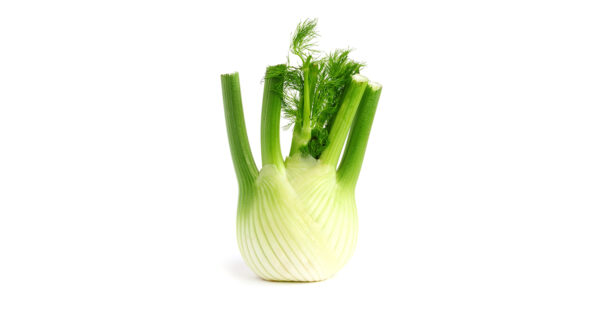 FENOUIL