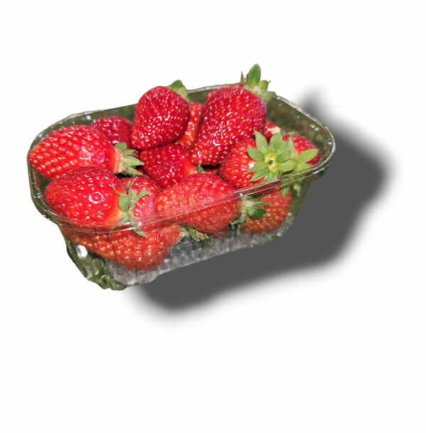 FRAISE RONDE DE SOLOGNE 250 GR