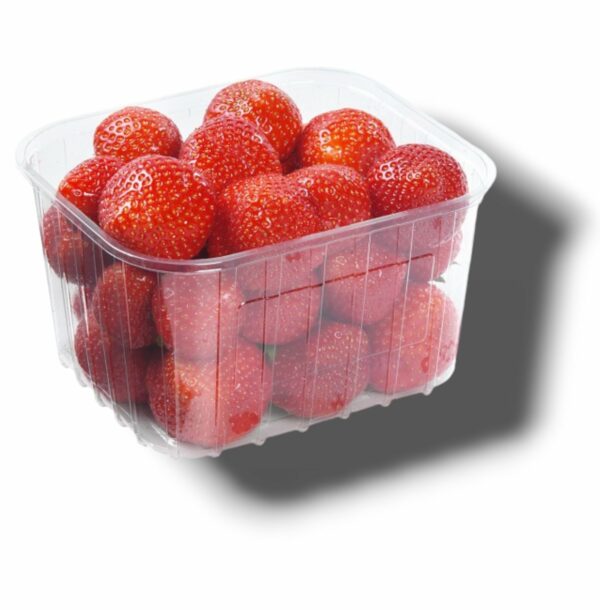 FRAISE RONDE DE SOLOGNE 500 GR