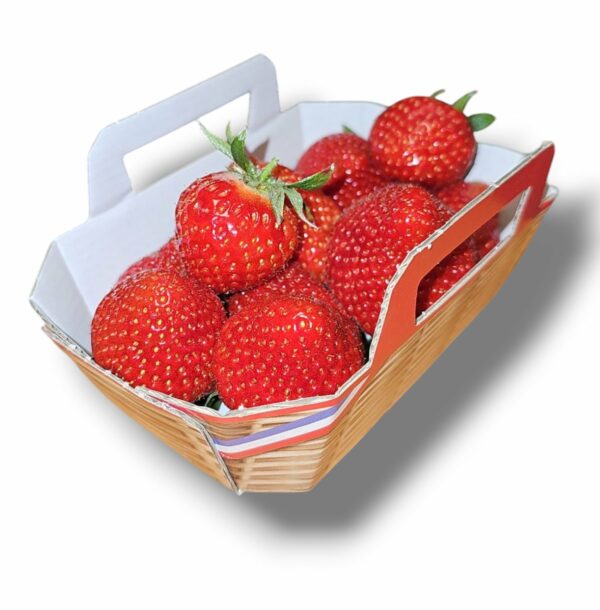 FRAISE PLEINE TERRE PANIER 250 GR