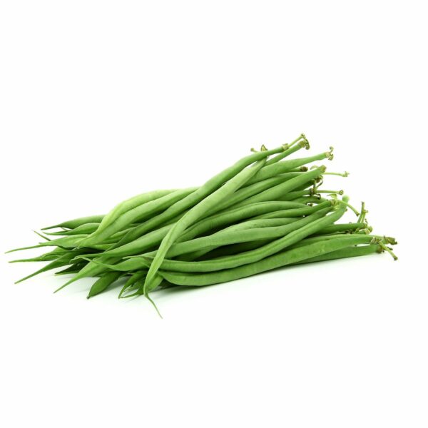 HARICOT VERT RÉCOLTÉ A LA MACHINE