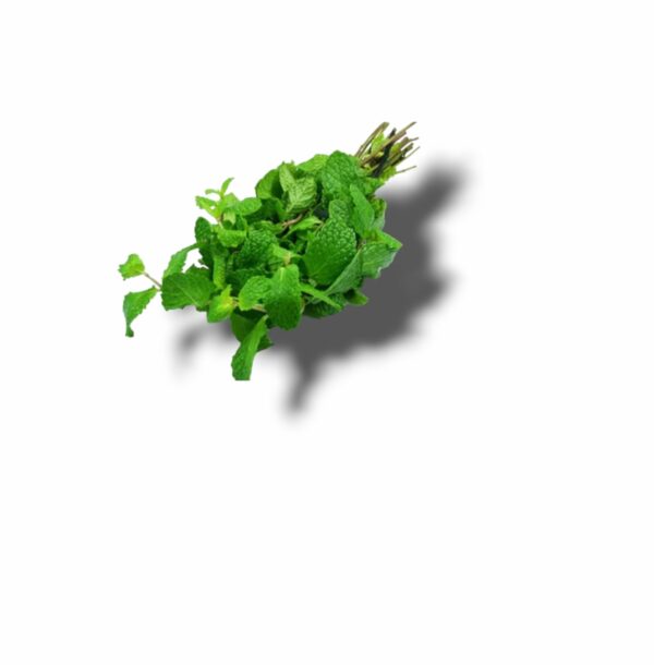 MENTHE BOTTE