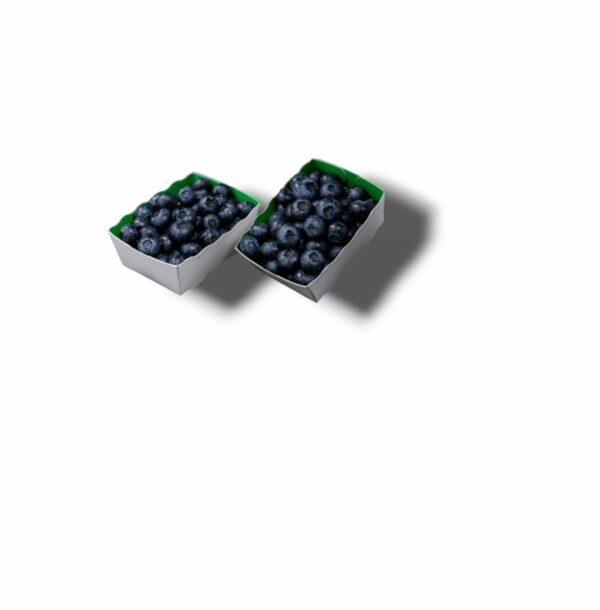MYRTILLE Panier de 125 Gr