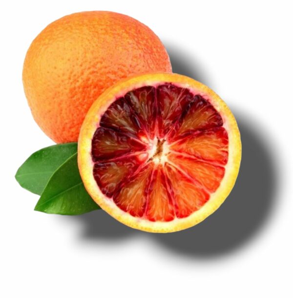 ORANGE MALTAISE