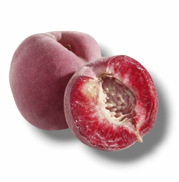 PECHE DE VIGNE