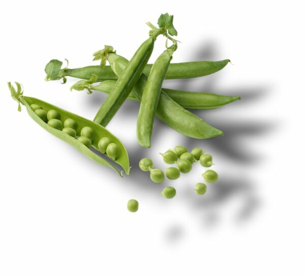 PETIT POIS