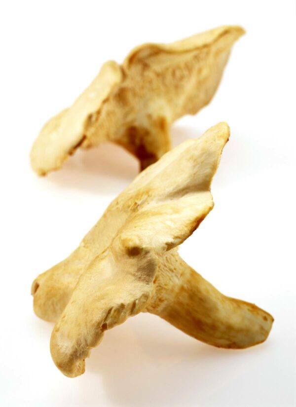 PIED DE MOUTON