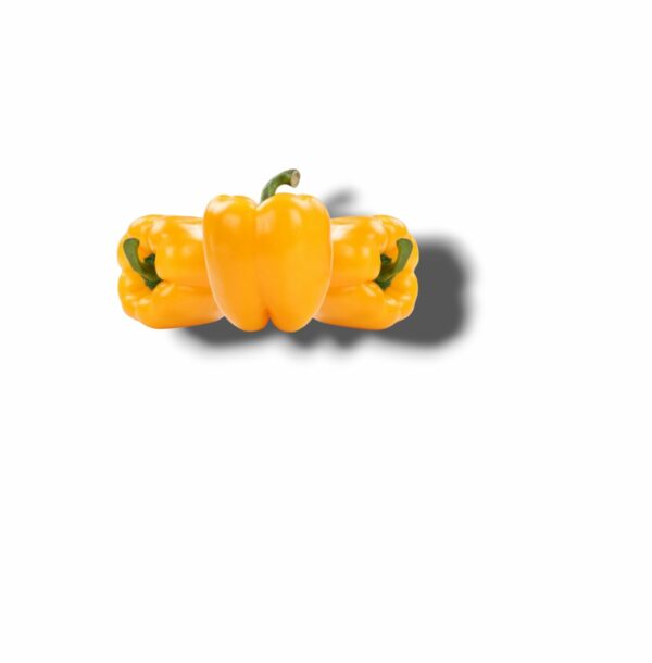 POIVRON JAUNE DU LOIRET