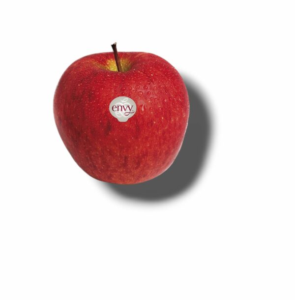 POMME ENVY SCILATE