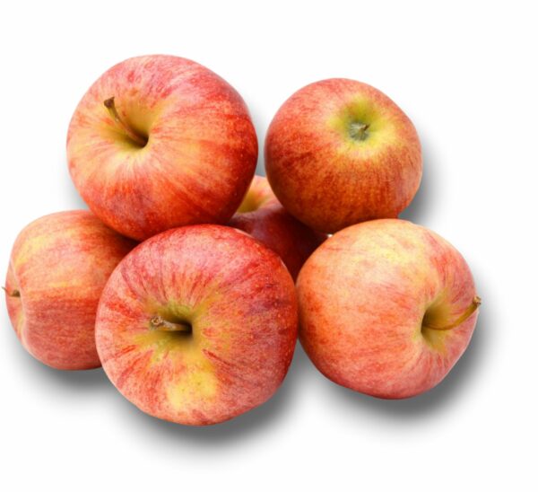 POMME GALA PETIT CALIBRE