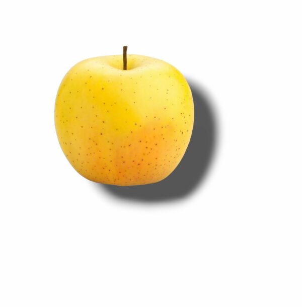 POMME GOLDEN GROS CALIBRE