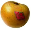 POMME GOLDRUSH DELISDOR