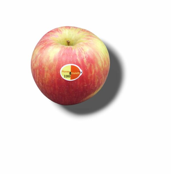 POMME HONEY/ CRISP