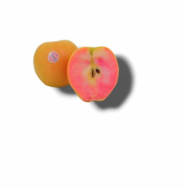 POMME KISSABEL