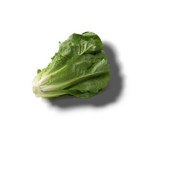SALADE ROMAINE