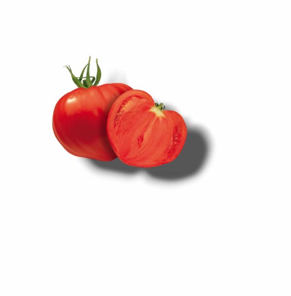 TOMATE ALLONGEE COEUR DU LOIRET