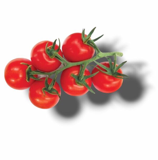 TOMATE COCKTAIL