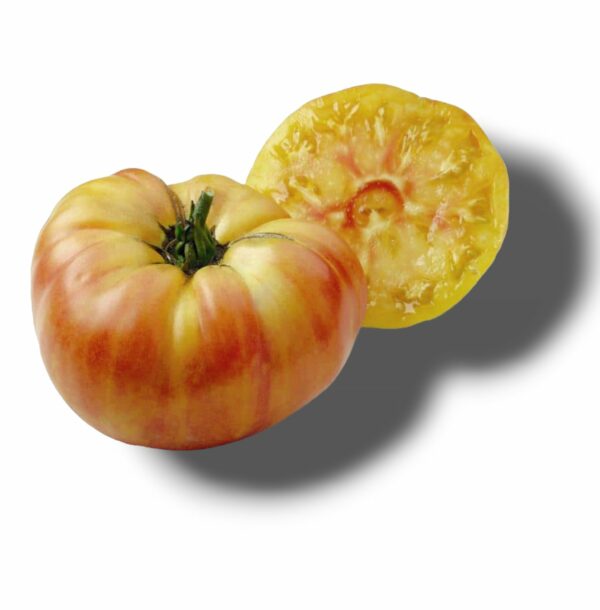 TOMATE COTELEE ANANAS DU LOIRET