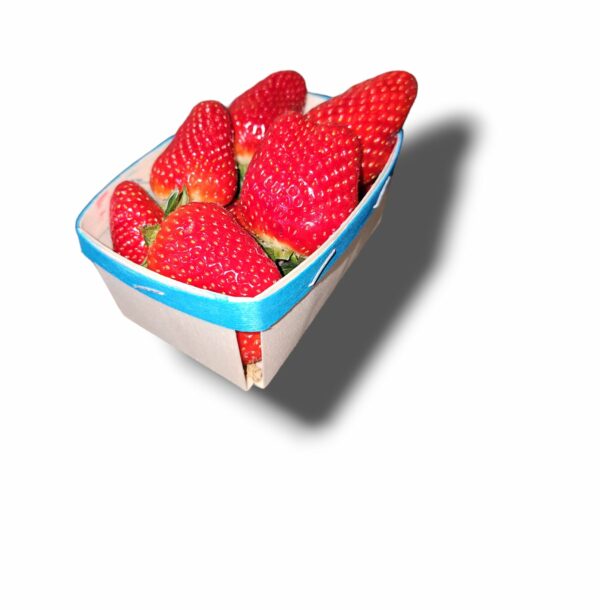 FRAISE DREAM BARQUETTE 250 GR