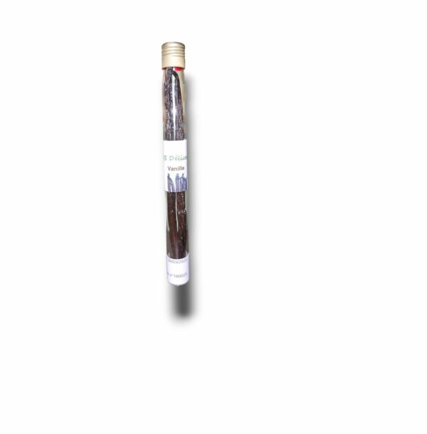 GOUSSE DE VANILLE DE MADAGASCAR X2 TUBE 20 CM