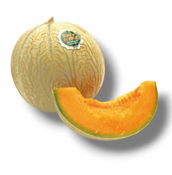 MELON BOULE DE MIEL CALIBRE MOYEN