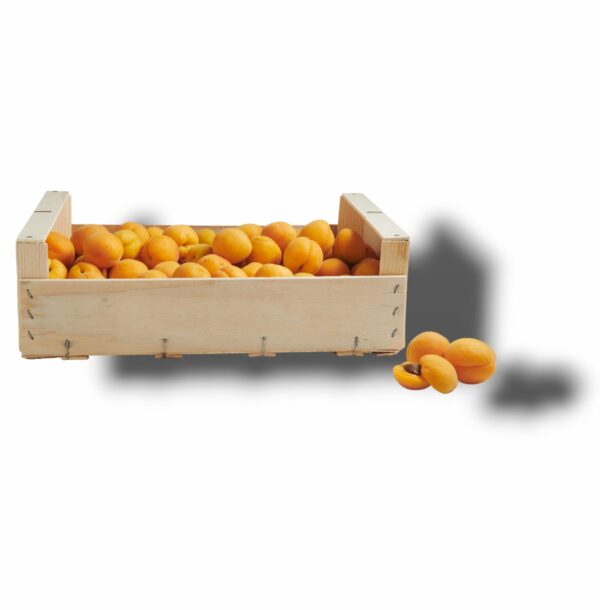 ABRICOT A CONFITURE COLIS DE 5 KG