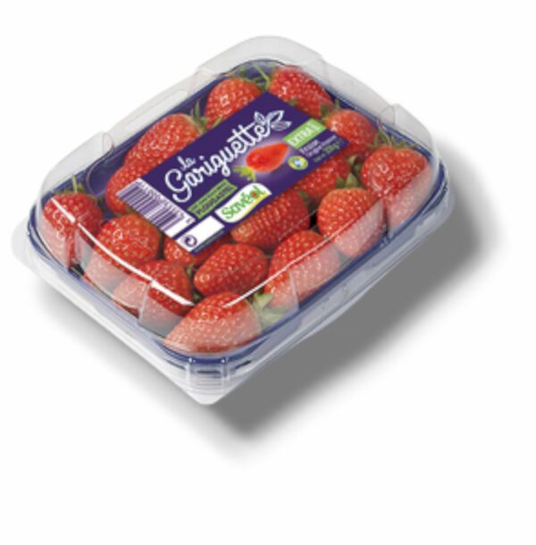 FRAISE GARIGUETTE LITEE BARQUETTE 250 GR