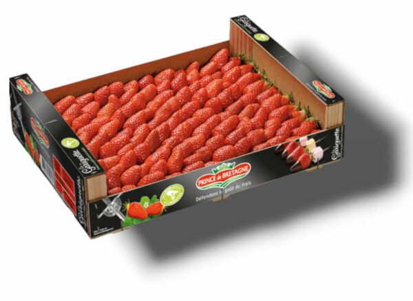 FRAISE GARIGUETTE LITEE PRINCE DE BRETAGNE