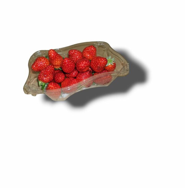 FRAISE DREAM BARQUETTE 400 GR
