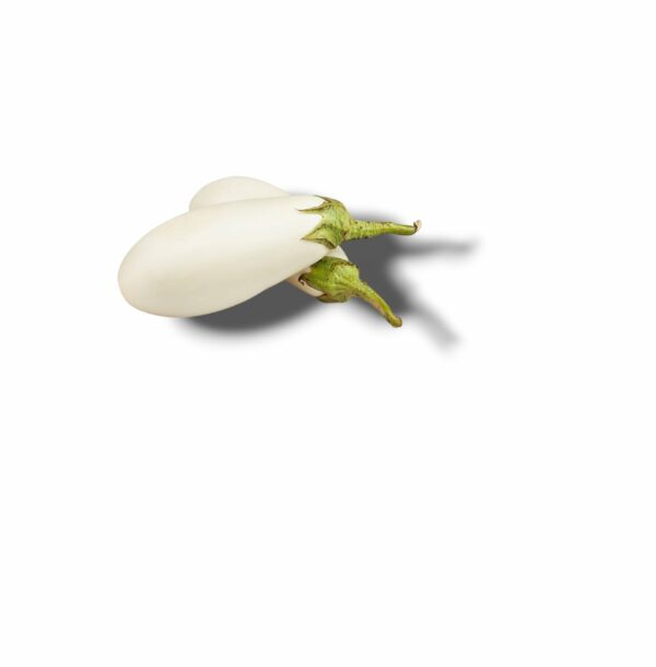 AUBERGINE BLANCHE DU LOIRET