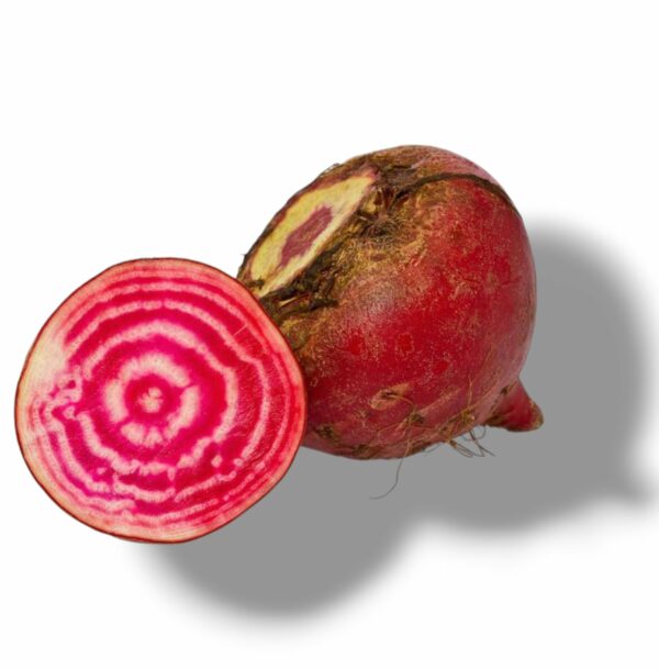 BETTERAVE CHIOGGIA