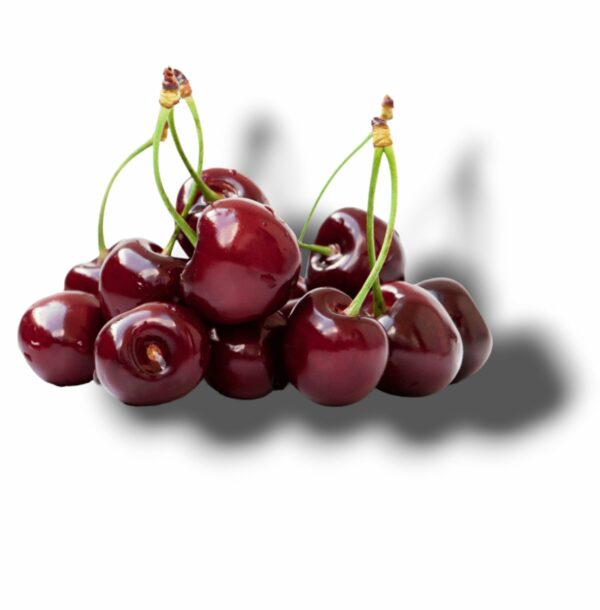 CERISE DU LOIRET PETIT CALIBRE