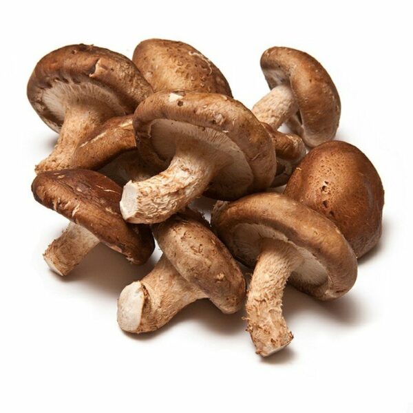 CHAMPIGNON SHII TAKE
