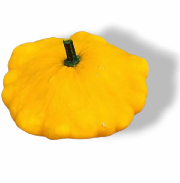 COURGE PATISSON JAUNE