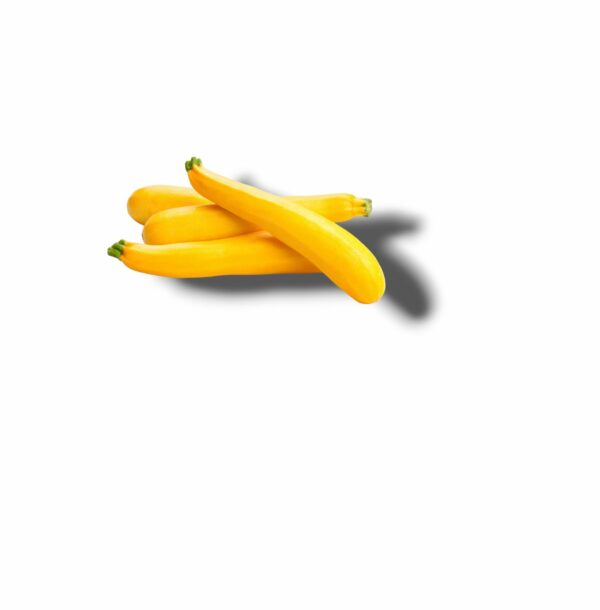 COURGETTE JAUNE