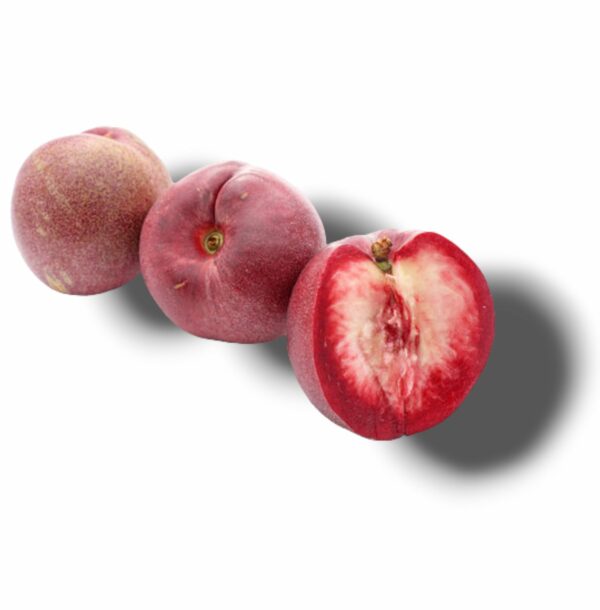 NECTAVIGNE